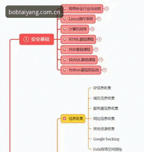 新手必看：如何安全获取半岛平台下载地址？从入门到精通的全流程指南